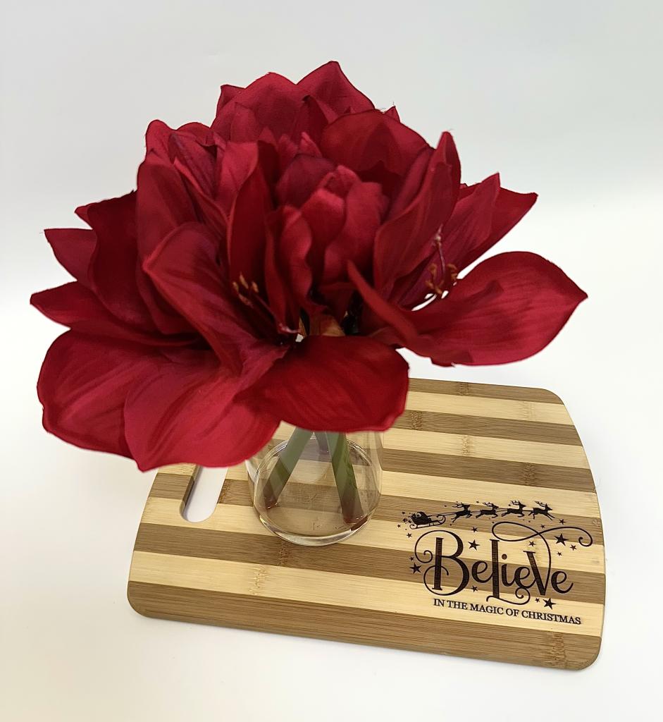 Amaryllis With Vase 