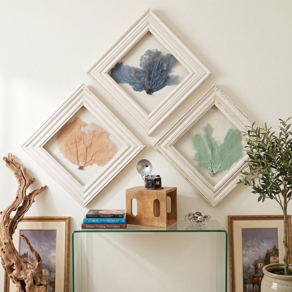 Framed Sea Fan Coral Art