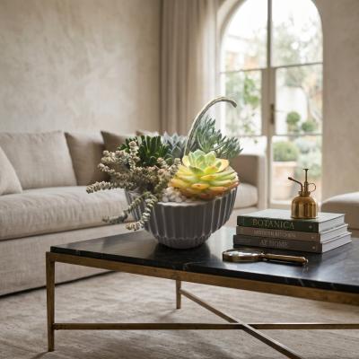 Mixed Live Succulent Ceramic Arrangement