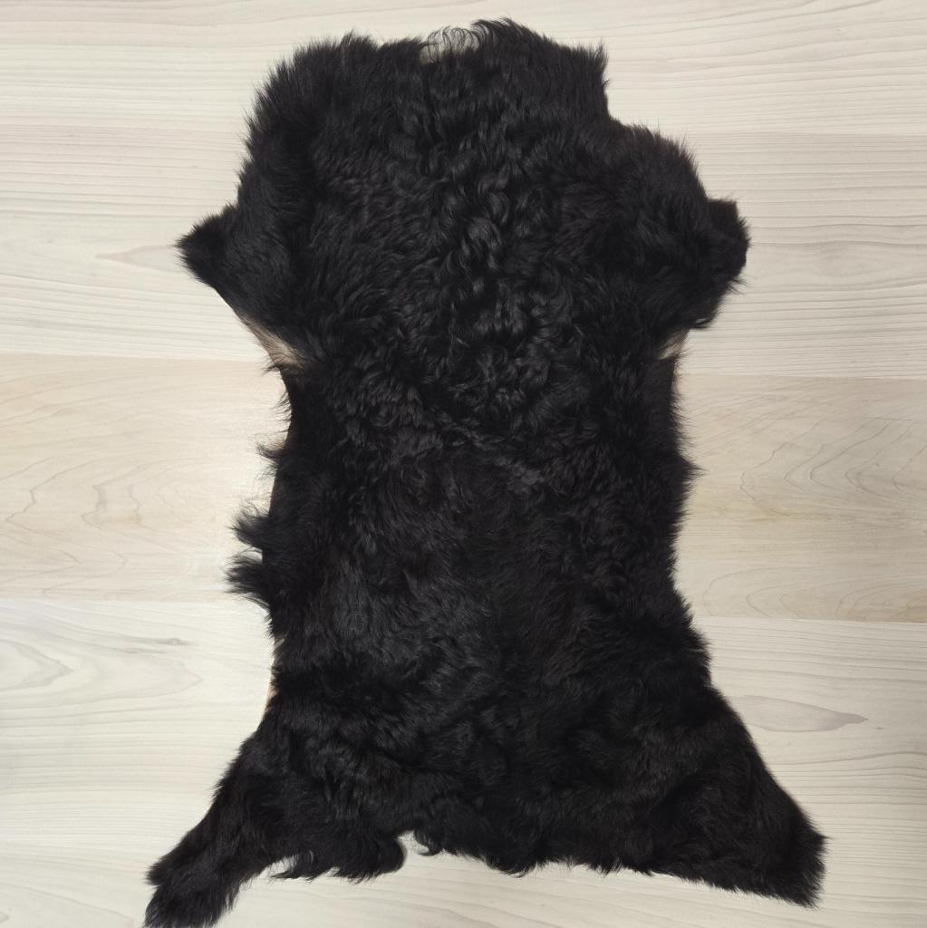 Sheep Hide