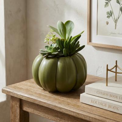 Ceramic Pumpkin Succulent Planter